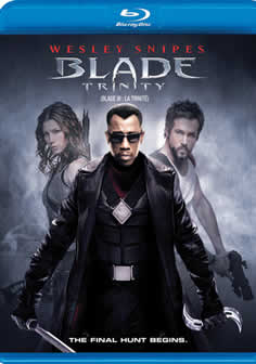 Фильм Блэйд 3: Троица / Blade: Trinity (2004) BDRip