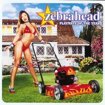 Группа Zebrahead альбом Playmate Of The Year (2000)