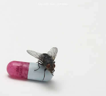 Группа Red Hot Chili Peppers альбом I'm With You (2011)